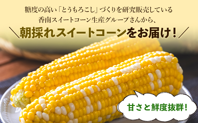 å
è¡äºçŽåä»äžïŒææ¡ãã¹ã€ãŒãã³ãŒã³ çŽ4.5kgïŒ12ïœ15æ¬ïŒ- éè ãšããããã ãšããã³ ããŠãã BBQ ãã£ã³ã æ¬ ãã〠ç¹ç£å æ°ééå® å£ç¯éå® æééå® sg-0006