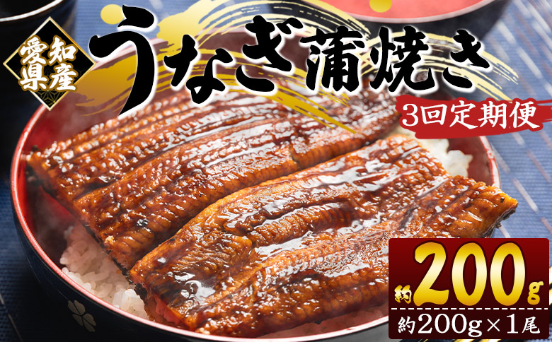 【３回定期便】国産養殖うなぎ蒲焼き 約200g×1尾(愛知県産鰻) うなぎ 魚介 国産 海鮮 魚 かばやき 鰻 ウナギ 惣菜 おかず お手軽 加工品 加工食品 冷凍 Wfb-0070