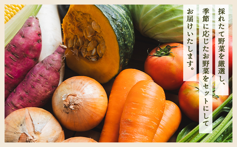 ãïŒåå®æäŸ¿ãããããåž ç£å°çŽéãããïŒ7çš®é¡ååŸïŒ - éè ããžã¿ãã« ããŸãã è©°ãåãã ã»ãã å£ç¯ æ¬ ãä»»ã ãæ¥œãã¿ ãã«ã·ãŒ åœç£ ç¹ç£å éæç¡æ ããããåž é«ç¥ç éŠååž Wyr-0037