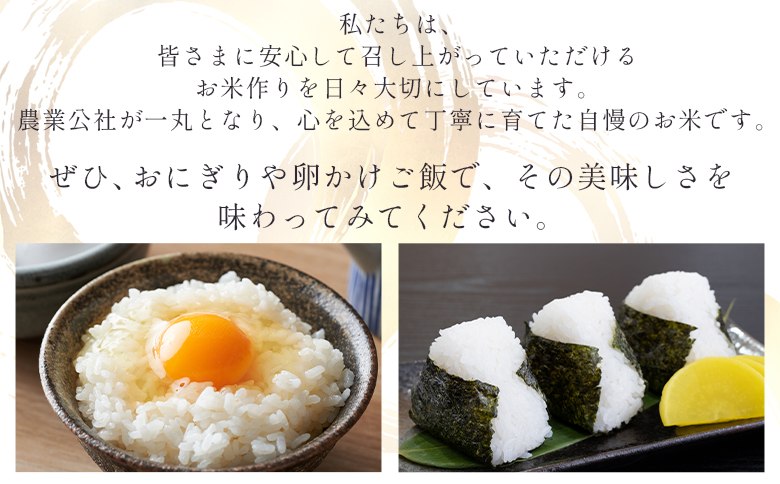 【7日程度で発送】令和7年産 コシヒカリ 無洗米 特別栽培米 真空パック 5kg - 国産 米 お米 おこめ こしひかり 白米 ごはん おにぎり おむすび ご飯 防災 非常食 備蓄 農業公社 高知県 香南市 nu-0002