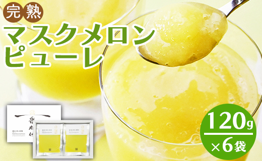 メロンピューレ 「めざましどようび キクエがキクヨ!」で特集 完熟マスクメロンピューレ 120g×6袋 JALファーストクラス機内食に採用 tn-0007