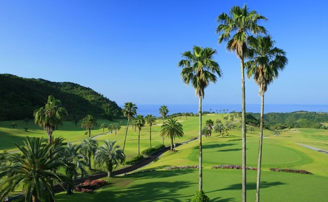 Kochi 鮟呈スョ繧ォ繝ウ繝医Μ繝シ繧ッ繝ゥ繝 繧エ繝ォ繝 繝励Ξ繝シ蛻ク 3,000蜀蛻 - 繧エ繝ォ繝募エ 繝√こ繝繝 繝励Ξ繝シ蛻ク 繝ゥ繧ヲ繝ウ繝 繧ウ繝シ繧ケ 雜」蜻ウ 菴馴ィ 繧ケ繝昴シ繝 繧「繧ヲ繝医ラ繧「 鮟呈スョ隕ウ蜈蛾幕逋コ譬ェ蠑丈シ夂、セ 鬮倡衍逵 鬥吝漉蟶 ki-0001