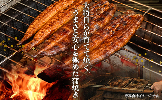 うなぎ 定期便 3回 うなぎ蒲焼き120g 2尾(無頭) 魚介 国産 海鮮 魚 かばやき 鰻 ウナギ 惣菜 おかず お手軽 加工品 加工食品 冷凍 Wun-0024