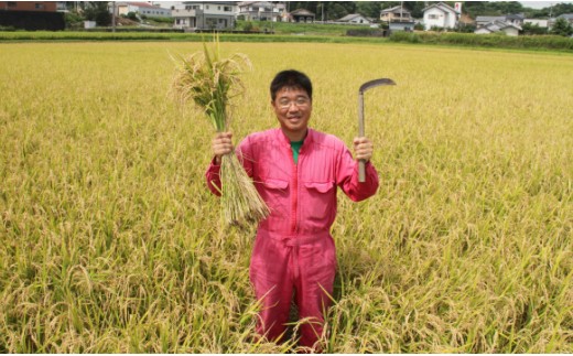 おいしいコシヒカリ！ 土佐の米よさこい舞10kg kr-0072