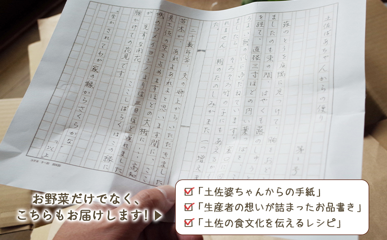 プライム株式会社 定期便3回コース 香南市産 旬のお野菜詰合せ(10～13品目) - 送料無料 10～13種類 やさい 季節の野菜 季節品 新鮮 お楽しみ おたのしみ お任せ おまかせ 詰め合わせ セット 土佐野菜 新鮮 しんせん 国産 しんせん 美味しい おいしい 料理 アレンジ サラダ 炒め物 煮物 鍋 夕食 夕飯 昼食 朝食 材料 瑞々しい みずみずしい 葉物 しゅんの野菜 おすそ分け ご自宅 ご家庭 高知県 香南市 冷蔵 Wpr-0008