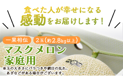 【期間限定】一果相伝 マスクメロン 家庭用 2玉入り - 送料無料 果物 くだもの フルーツ めろん 青肉 デザート スイーツ ご自宅用 美味しい おいしい 甘い あまい 篤農 とくのう ご褒美 ごほうび ちょっと贅沢 ぜいたく 高級 こうきゅう 特別 フレッシュ ジューシー 果汁 果肉 果実 おとりよせ お取り寄せ グルメ 記念日 誕生日 箱入り お礼 御礼 大きさ 不揃い 傷 キズ 網目 産地直送 高知県 香南市 常温 tn-0011