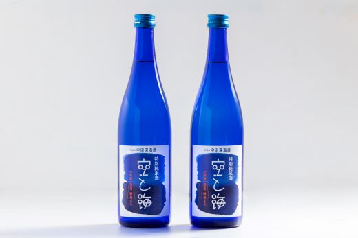 日本酒 土佐宇宙深海酒 特別純米酒 空と海 720ml×2本 - 国産 高知県産 お酒 酒 おさけ セット 辛口 贈り物 ギフト 晩酌 自分用 アルコール 記念日 お酒好き お礼 お祝い 高知県 香南市 常温 gs-0203