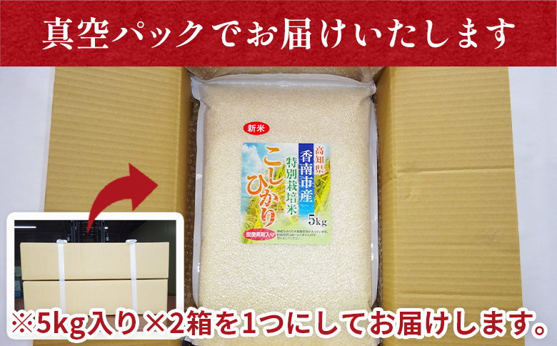 【7日程度で発送】【令和7年産】無洗米 高知県香南市産 特別栽培米 真空パック コシヒカリ 10kg - 国産 米 お米 おこめ こしひかり 白米 ごはん おにぎり おむすび ご飯 農業公社 高知県 香南市 常温 nu-0004