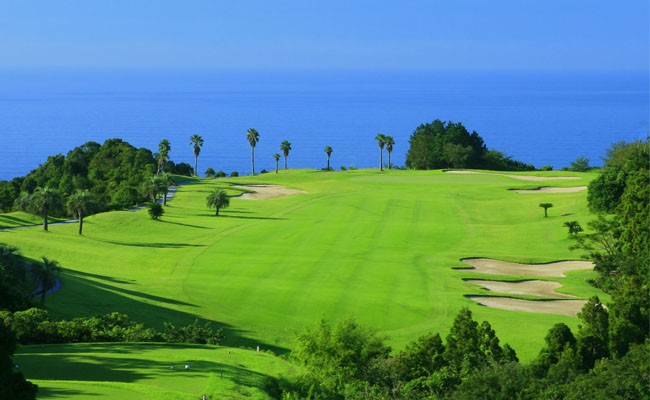 Kochi 鮟呈スョ繧ォ繝ウ繝医Μ繝シ繧ッ繝ゥ繝 繧エ繝ォ繝 繝励Ξ繝シ蛻ク 3,000蜀蛻 - 繧エ繝ォ繝募エ 繝√こ繝繝 繝励Ξ繝シ蛻ク 繝ゥ繧ヲ繝ウ繝 繧ウ繝シ繧ケ 雜」蜻ウ 菴馴ィ 繧ケ繝昴シ繝 繧「繧ヲ繝医ラ繧「 鮟呈スョ隕ウ蜈蛾幕逋コ譬ェ蠑丈シ夂、セ 鬮倡衍逵 鬥吝漉蟶 ki-0001