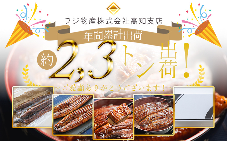 【計400ｇ】国産養殖うなぎ蒲焼き 約200g×2尾(愛知県産鰻) 鰻 ウナギ かばやき 1万円以上 10000円以上 fb-0138