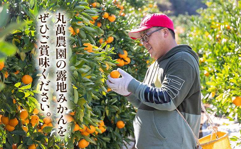 【2026年出荷分】露地みかん(2S～Mサイズ) 贈答用 5kg ＋約100g (傷み補償分) 丸萬農園 - 果物 くだもの フルーツ 果実 柑橘 かんきつ 蜜柑 みかん ミカン 期間限定 ギフト 贈り物 プレゼント お祝い 感謝 お礼 年内発送 高知県 香南市 常温 mn-0009