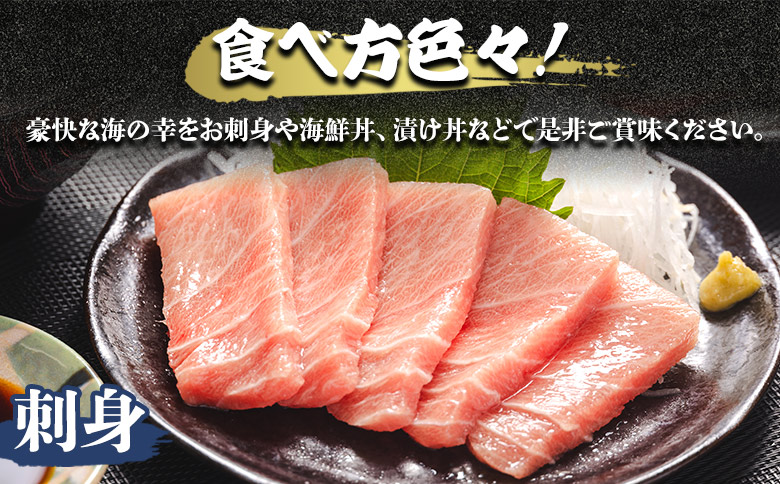 【7日程度で発送】本まぐろ 養殖 中トロ 約500g（250g×2冊）- 鮪 まぐろ 寿司 刺身 海鮮 海産物 魚介 海の幸 スピード発送 高知県 香南市 oo-0019