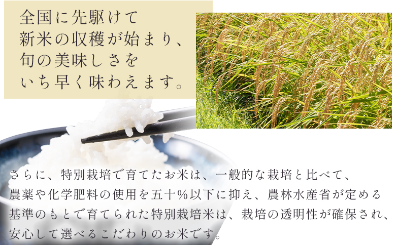 【7日程度で発送】令和7年産 コシヒカリ 無洗米 特別栽培米 真空パック 5kg - 国産 米 お米 おこめ こしひかり 白米 ごはん おにぎり おむすび ご飯 防災 非常食 備蓄 農業公社 高知県 香南市 nu-0002