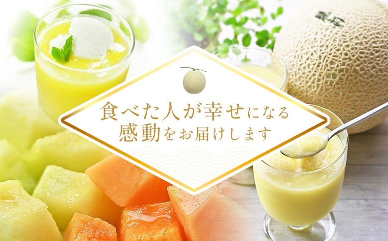 【12回定期便】メロン堪能定期便 - 国産 マスクメロン 完熟 赤肉 青肉 家庭用 フルーツ 果物 ピューレ シャーベット 飲み物 飲料 フルーツジュース 篤農 高知県 香南市 常温 冷凍 Wtn-0044