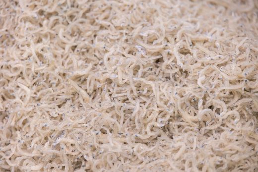 上乾ちりめん 約500g - 国産 ちりめん しらす シラス 稚魚 魚介 魚 海産物 天日干し 釜茹で ドロメ サラダ 和え物 アレンジ 料理 ご飯のお供 三浦屋海産 高知県 香南市 冷蔵 mu-0006