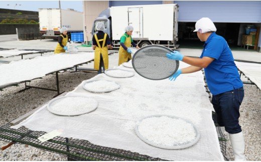 【冷蔵】訳あり 上乾ちりめん 約1kg - 国産 ちりめん しらす シラス 稚魚 魚介 魚 海産物 天日干し 釜茹で ドロメ サラダ 和え物 アレンジ 料理 ご飯のお供 高知県 香南市 冷蔵 mu-0014