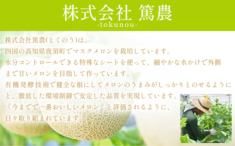 【12回定期便】メロン堪能定期便 - 国産 マスクメロン 完熟 赤肉 青肉 家庭用 フルーツ 果物 ピューレ シャーベット 飲み物 飲料 フルーツジュース 篤農 高知県 香南市 常温 冷凍 Wtn-0044