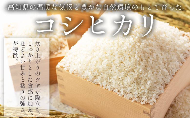 【7日程度で発送】【令和7年産】無洗米 高知県香南市産 特別栽培米 真空パック コシヒカリ 10kg - 国産 米 お米 おこめ こしひかり 白米 ごはん おにぎり おむすび ご飯 農業公社 高知県 香南市 常温 nu-0004