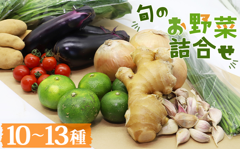 高知県香南市産 旬のお野菜詰合せ(10～13品目)  - やさい 10～13種類 セット 詰め合わせ 季節の野菜 新鮮 料理 サラダ アレンジ おたのしみ お楽しみ おまかせ お任せ フレッシュ 国産 プライム株式会社 高知県 香南市 pr-0007