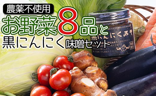 農薬不使用のお野菜8品と黒にんにく味噌のセット - やさい 8種類 ニンニク  みそ ミソ ご飯のお供 おかず 調味料 お任せ おまかせ お楽しみ おたのしみ 旬 季節品 国産 特産品 詰合せ 詰め合わせ 料理 サラダ 野菜炒め 高知県 香南市 pr-0012