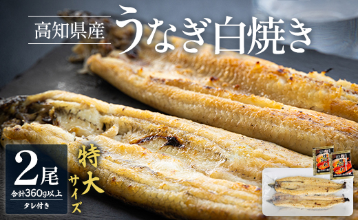 高知県産うなぎの白焼き 特大サイズ 2尾(合計360g以上) タレ付き - 鰻 ウナギ 夕飯 おつまみ 丑の日 のし対応可 ギフト 贈答 クリスマス 年末年始 国産 吉川水産 高知県 香南市【冷凍】 yw-0044