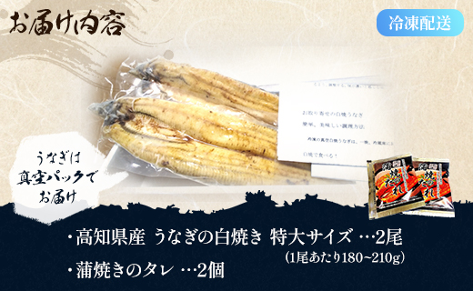 高知県産うなぎの白焼き 特大サイズ 2尾(合計360g以上) タレ付き - 鰻 ウナギ 夕飯 おつまみ 丑の日 のし対応可 ギフト 贈答 クリスマス 年末年始 国産 吉川水産 高知県 香南市【冷凍】 yw-0044