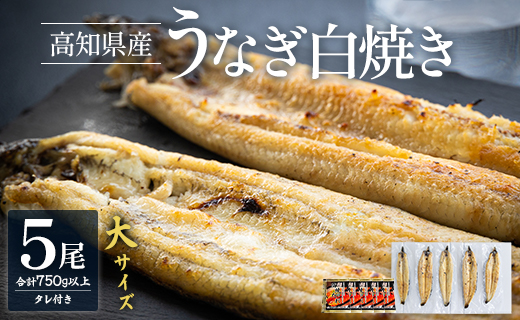 高知県産 うなぎの白焼き 大サイズ 5尾（合計750g以上）タレ付き - 送料無料 鰻 ウナギ 晩ご飯 夕飯 おかず 魚 肴 おつまみ 国産 贈答用 贈り物 吉川水産 高知県 香南市 yw-0068