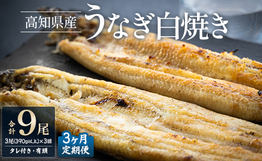 【3ヶ月定期便】高知県産うなぎの白焼き 合計9尾 (3尾390g以上×3回) タレ付き エコ包装 - 鰻 ウナギ しらやき 有頭 つまみ ご飯のお供 ごはん 丼 たれ 簡易 Wyw-0072