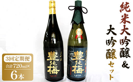 3回定期便  純米大吟醸＆大吟醸セット 720ml各1本（合計6本） - お酒 純米酒 日本酒 地酒 飲み比べ 龍奏 鶯寿 宅飲み お祝い 高木酒造株式会社 高知県 香南市 【冷蔵】 Wgs-0082