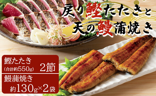 戻り鰹たたき 2節+天の鰻蒲焼き 2袋 (合計約550g+合計260g) - 送料無料 かつお カツオ うなぎ ウナギ 蒲焼き かばやき 魚 さかな 肴 おつまみ のし 熨斗 対応可 配送時間帯指定可 丑の日 スタミナ うな丼 うな重 贅沢 ぜいたく お祝い お礼 御礼 贈答品 贈答用 贈り物 ギフト お酒 晩酌 夕食 夕飯 特産品 美味しい おいしい おとりよせ お取り寄せ グルメ 惣菜 そうざい 和食 一品 炭火焼き 養殖 老舗 食べきりサイズ 土佐料理司 高知県 香南市 冷凍  tr-0013