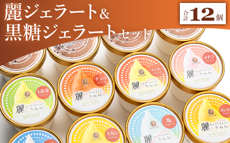 麗ジェラートと黒糖ジェラート 12個セット - アイスクリーム デザート スイーツ お菓子 洋菓子 詰合せ 詰め合わせ アソート フレーバー ギフト 贈り物 ドルチェかがみ 高知県 香南市 冷凍 dc-0073