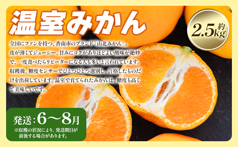 【定期便】柑橘お楽しみ定期便４回コース - 4回配送 旬 果物 くだもの フルーツ かんきつ 蜜柑 みかん ミカン せとか なつみ 小夏 こなつ 温室みかん 山北みかん 高知県 香南市 常温 Wku-0046