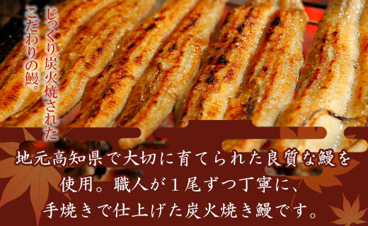 炭火手焼のうなぎ蒲焼き ２尾(合計約260g) 蒲焼のたれ付き - 送料無料 鰻 ウナギ タレ付き 夕飯 夕食 ご飯のお供 うな丼 うな重 丼ぶり ひつまぶし おつまみ 養殖 土用の丑の日 スタミナ 贅沢 ぜいたく お取り寄せ パック 御礼 お礼 内祝い うなぎ大好き 国産 高知県 香南市 冷凍 fb-0141