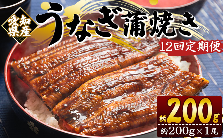 【１２回定期便】国産養殖うなぎ蒲焼き 約200g×1尾(愛知県産鰻) うなぎ 魚介 国産 海鮮 魚 かばやき 鰻 ウナギ 惣菜 おかず お手軽 加工品 加工食品 冷凍 Wfb-0072