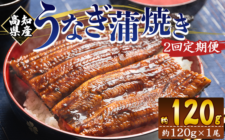 【２回定期便】高知県産養殖うなぎ蒲焼き 100～120g 1尾 うなぎ 魚介 国産 海鮮 魚 かばやき 鰻 ウナギ 惣菜 おかず お手軽 加工品 加工食品 冷凍 Wfb-0033