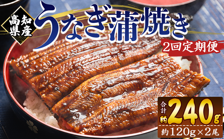 【２回定期便】高知県産養殖うなぎ蒲焼き 100～120g 2尾 うなぎ 魚介 国産 海鮮 魚 かばやき 鰻 ウナギ 惣菜 おかず お手軽 加工品 加工食品 冷凍 Wfb-0037