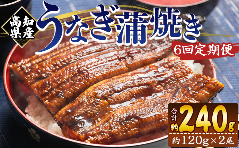 【６回定期便】高知県産養殖うなぎ蒲焼き 100～120g 2尾 うなぎ 魚介 国産 海鮮 魚 かばやき 鰻 ウナギ 惣菜 おかず お手軽 加工品 加工食品 冷凍 Wfb-0039