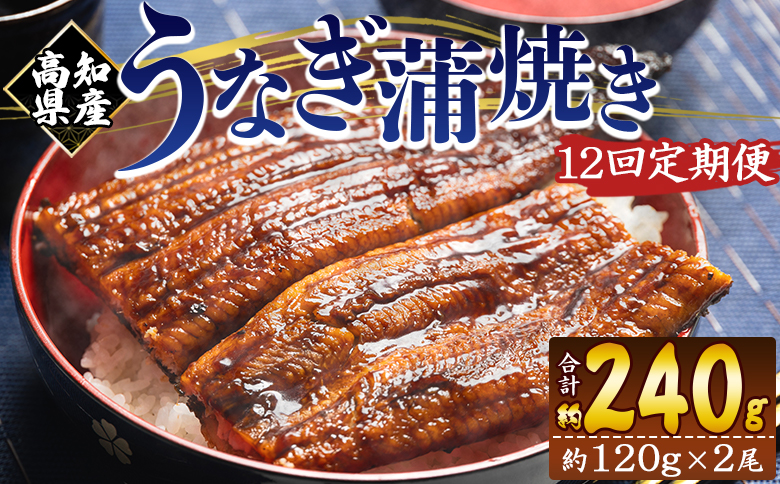 【１２回定期便】高知県産養殖うなぎ蒲焼き 100～120g 2尾 うなぎ 魚介 国産 海鮮 魚 かばやき 鰻 ウナギ 惣菜 おかず お手軽 加工品 加工食品 冷凍 Wfb-0040