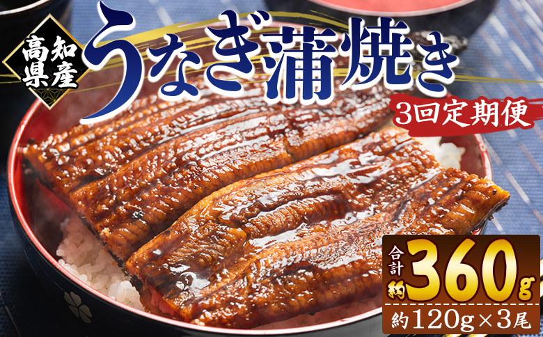 【３回定期便】高知県産養殖うなぎ蒲焼き 100～120g 3尾 うなぎ 魚介 国産 海鮮 魚 かばやき 鰻 ウナギ 惣菜 おかず お手軽 加工品 加工食品 冷凍 Wfb-0042