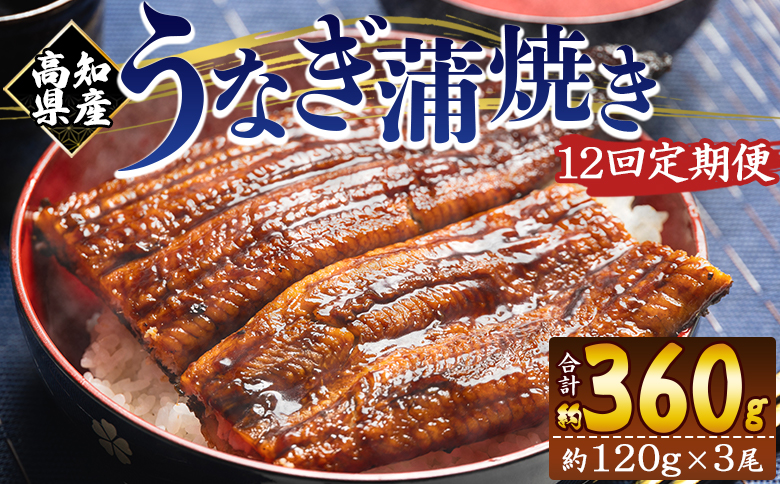 【１２回定期便】高知県産養殖うなぎ蒲焼き 100～120g 3尾 うなぎ 魚介 国産 海鮮 魚 かばやき 鰻 ウナギ 惣菜 おかず お手軽 加工品 加工食品 冷凍 Wfb-0044