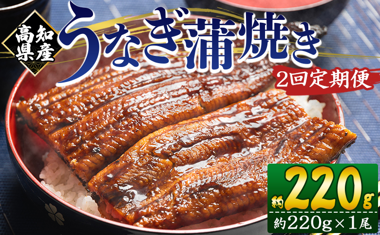 【２回定期便】高知県産養殖うなぎ蒲焼き 約220g×１尾 うなぎ 魚介 国産 海鮮 魚 かばやき 鰻 ウナギ 惣菜 おかず お手軽 加工品 加工食品 冷凍 Wfb-0057