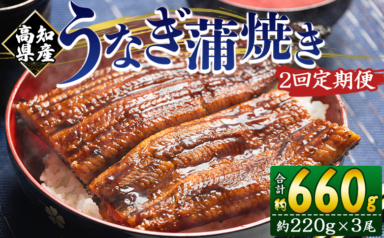 【２回定期便】高知県産養殖うなぎ蒲焼き 約220g×３尾 うなぎ 魚介 国産 海鮮 魚 かばやき 鰻 ウナギ 惣菜 おかず お手軽 加工品 加工食品 冷凍 Wfb-0065