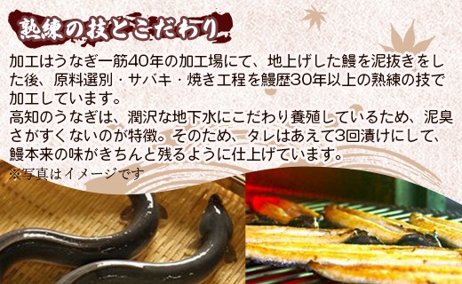 高知県産養殖うなぎ蒲焼 10尾(合計1000g以上) - 鰻 ウナギ 国産 蒲焼き かば焼き かばやき うな丼 うな重 ギフト お中元 御中元 父の日 お礼 御礼 感謝 贈答 贈り物 土用の丑の日 高知県 香南市 ss-0041