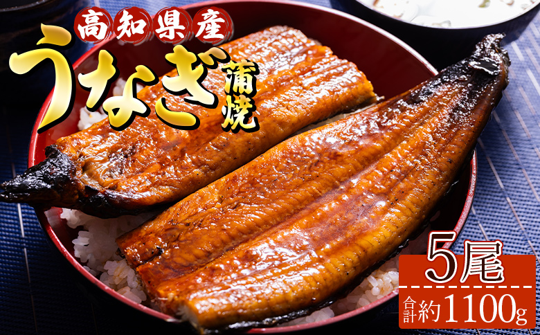 高知県産養殖うなぎ蒲焼 5尾(合計約1100g) - タレ付き たれ 丑の日 鰻 ウナギ かばやき うな丼 うな重 送料無料 須崎市道の駅 ギフト 贈答 贈り物 高知県 香南市 冷凍 ss-0036