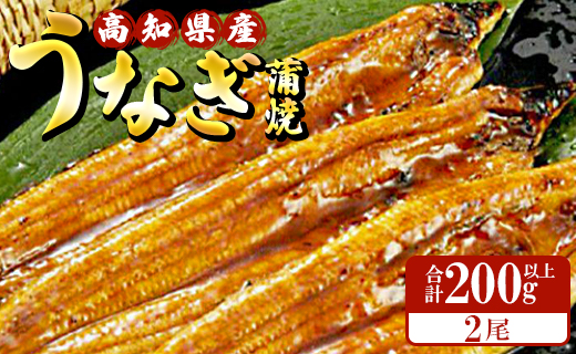 高知県産養殖うなぎ蒲焼 100～120g 2尾セット(合計200g以上) ss-0044