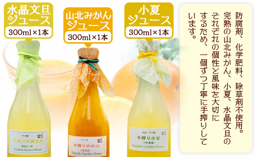 みかん農家の手搾り自家製ジュース 300ml×3本セット - 送料無料 山北みかん 小夏 水晶文旦 果汁 飲料 国産 詰め合わせ 2倍濃縮 炭酸割り ドレッシング ギフト 贈り物 常温 eh-0032