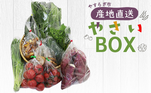 先行予約！産地直送やさいBOX - 野菜 ベジタブル おまかせ 詰め合わせ セット 季節 旬 お任せ 10種類前後 お楽しみ ヘルシー 国産 特産品 送料無料 やすらぎ市 高知県 香南市 冷蔵 yr-0011