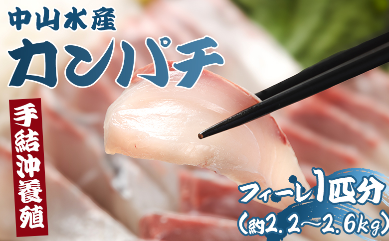 「カンパチ」のフィーレ約2.2kg～2.6Kg 【先行申込】 手結沖養殖 - 期間限定 魚 かんぱち 海鮮 鮮魚 魚介類 切り身 海の幸 ギフト お刺身 煮物 焼き魚 おかず 手結沖養殖 産地直送  高知県 香南市 ny-0008