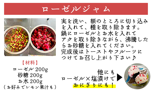 ローゼルティ 30g×3袋入り - 送料無料 飲み物 紅色 お茶 リフレッシュ リラックス ハーブティー ホットティー アレンジ ティータイム アフタヌーンティー おしゃれ かわいい プチギフト お礼 御礼 プレゼント 高知県 香南市 常温ga-0004