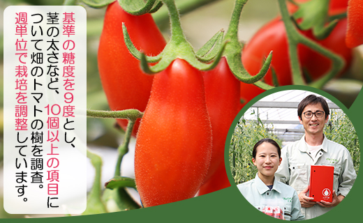 ããããã é«ç³åºŠ 1kg ãã«ãŒãããã å
è¡åä» ä¹å¥³ã®æ¶ ã¹ãŠã£ãŒãã£ã¢ - éè ããã ããããã èŽç ã®ãã ã®ãå¯Ÿå¿ ç³åºŠé«ã ãã〠å€é£ ããã奜ã is-0016